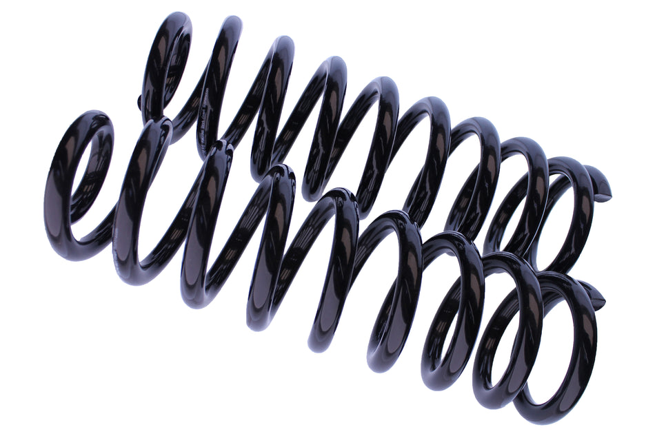 WCS 2" Coil (0-100kg) for 1500 DS Classic [Rear]