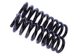 WCS 2" Coil Springs (55-85kg) for Everest, Ranger [Front]