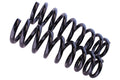 WCS 2" Front Coil for Everest, Ranger, Amarok [Front]