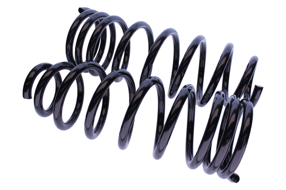 WCS 2" Coil Springs (0-100kg) for Everest [Rear]
