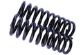 WCS 2" Coil Springs (0-45kg Petrol) for Cherokee [Front]