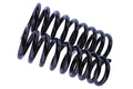 WCS 2" Coil Springs (0-45kg) for Cherokee [Front]