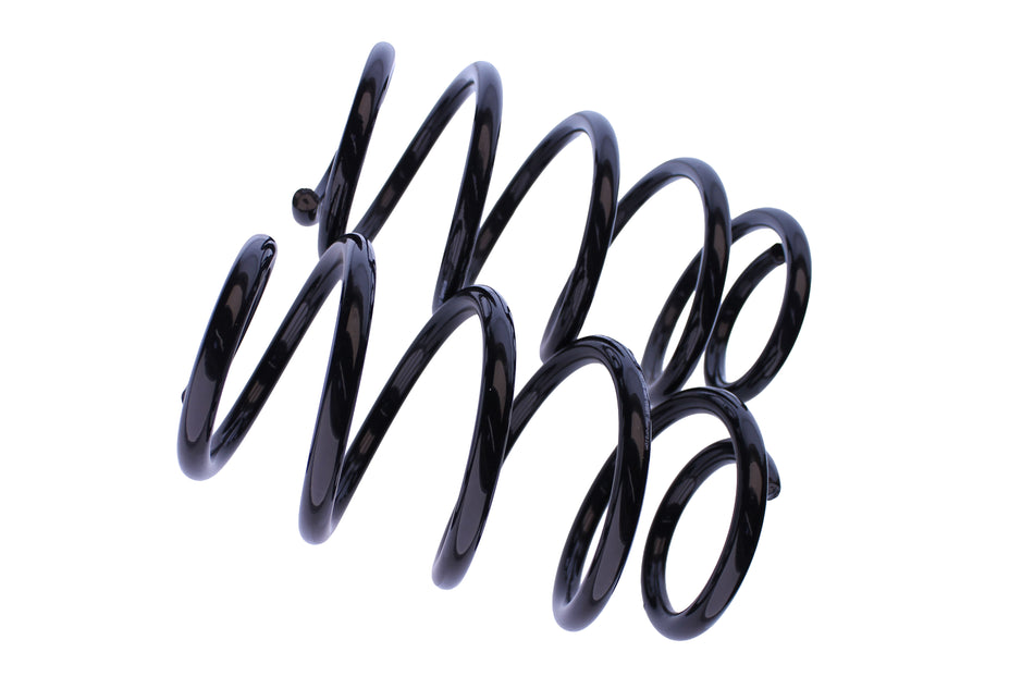 WCS 2" Coil Springs (0-100kg) for Cherokee [Rear]