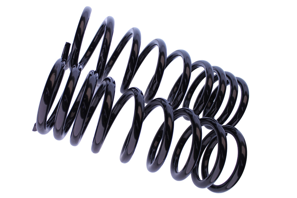 WCS 2" HD Coils (100-250kg) for Discovery [Rear]