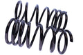 WCS 2" Heavy-Duty Coil Springs (100-200kg) for Pajero [Rear]