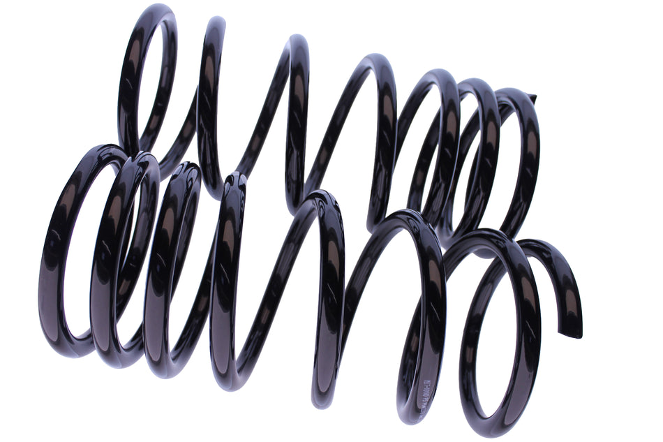 WCS 2" HD Coils (100-200kg) for Pajero [Rear]