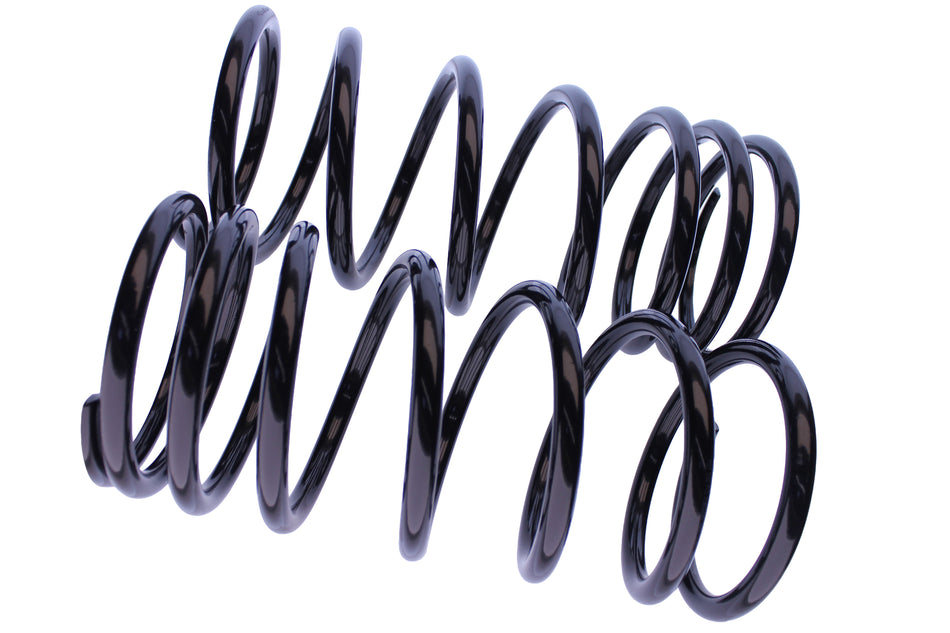 WCS 2" Coil Springs (100kg) for Challenger [Rear]
