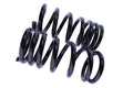 WCS 2" Coil Springs (0-150kg) for Pajero [Rear]