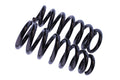 WCS 2" Coil Springs (60kg - 90kg) for Triton, Pajero Sport, Challenger [Front]