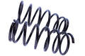 WCS 2" Coil Springs (0-45kg) for Pathfinder [Front]