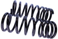 WCS 2" Coil Springs (150-300kg) for Patrol [Rear]