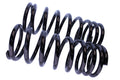 WCS 2" Coil Springs (150-300kg) for Patrol [Rear]