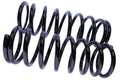 WCS 3" Coil Springs (0-150kg) for Patrol [Rear]