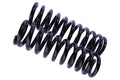WCS 2" Coil Springs (0-40kg) for Pathfinder, Navara [Front]