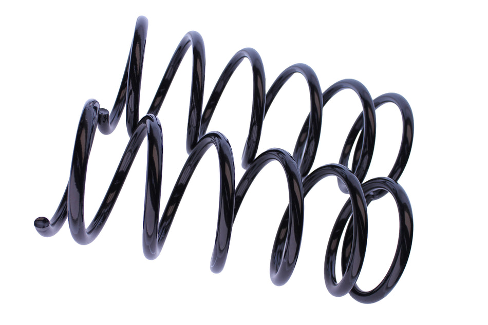 WCS 30mm Coils (0-40kg) for Grand Vitara [Front]