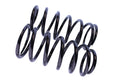WCS 2" Coil Springs (100-175kg) for 4Runner, Surf [Rear]