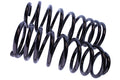 WCS 2" Coil Springs (100-250kg) for LC100, LC105, LC80 [Rear]