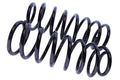 WCS 2" Coil Springs (0-200kg) for LC100, LC105, LC80 [Rear]
