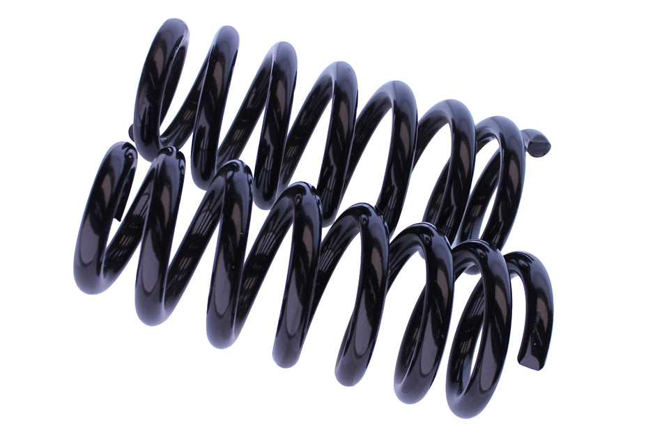 WCS 40mm Coil Springs for Amarok [Front]