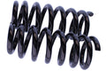 WCS 40mm Coil Springs for Amarok [Front]