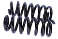 WCS 40mm Coil Springs for Amarok [Front]
